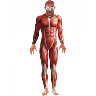 Miehen anatomia -asu