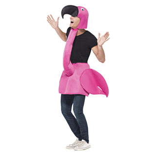 Flamingoasu