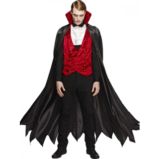 Herra Vampyyrin Asu