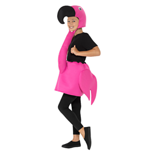 Pieni flamingoasu