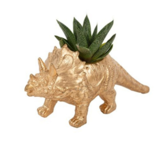 Triceratops Dinosaurus Kukkaruukku