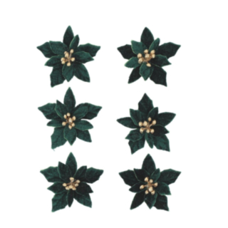 AF97167