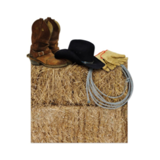 Cowboy Koriste