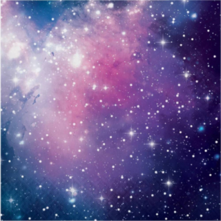 BI8C336041
