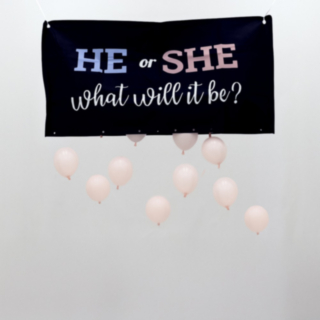 Gender Reveal Ilmapallosetti