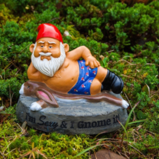 I'm Sexy & I Gnome It! -puutarhatonttu