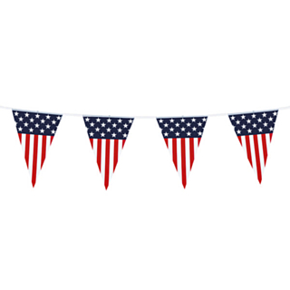USA Viirinauha