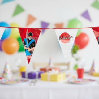 Ninja Party Viirinauha