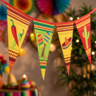 Fiesta Viirinauha