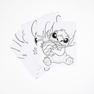 Stitch® Maalaussetti