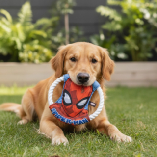 Spiderman® Köysi Frisbee Koiranlelu