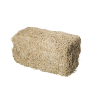 Olkipaali