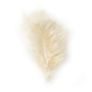 Koristehöyhen Norsunluunvalkoinen 10–15 cm