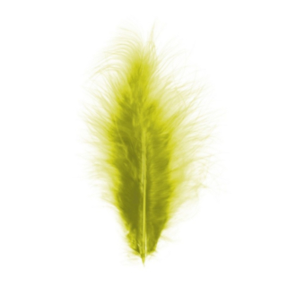 Koristehöyhen Kiwi 10–15 cm
