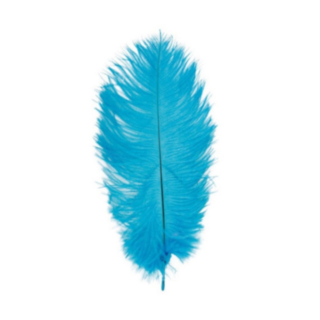 Strutsinsulka Turkoosi 20–25 cm