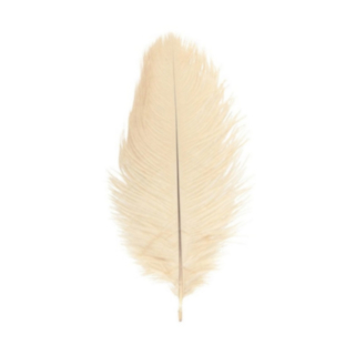 Strutsinsulka Norsunluu 30–35 cm