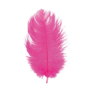 Strutsinsulka Pinkki 30–35 cm