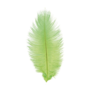 Strutsinsulka Limenvihreä 30–35 cm