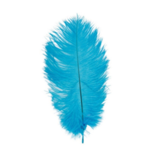 Strutsinsulka Turkoosi 30–35 cm