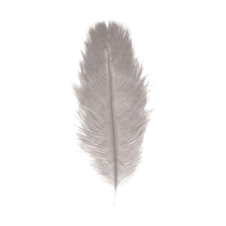 Strutsinsulka Vaaleanharmaa 30–35 cm
