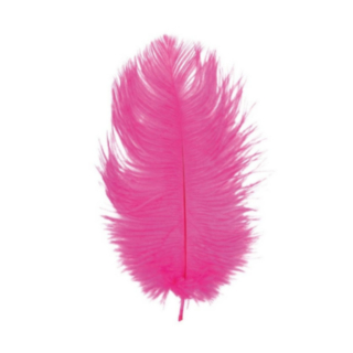 Strutsinsulka Pinkki 55–60 cm