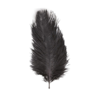 Strutsinsulka Musta 55–60 cm
