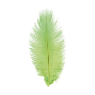 Strutsinsulka Limenvihreä 55–60 cm