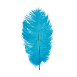 Strutsinsulka Turkoosi 55–60 cm