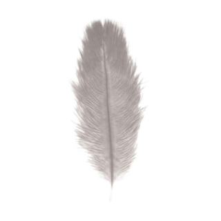 Strutsinsulka Vaaleanharmaa 55–60 cm