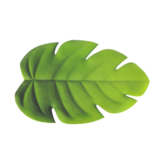 Monstera Lehti Vihreä