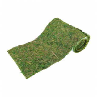 Sammal Kaitaliina