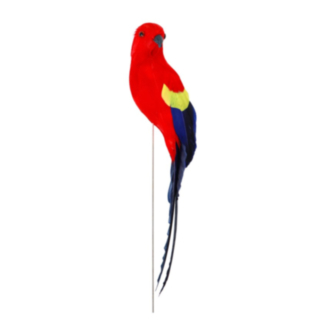 Papukaija Metallivarrella