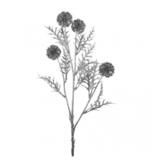 Tekokukka Allium Oksa Hopea