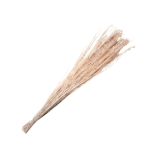 Kuivattu Yanagi Nippu Beige