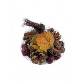 Pussi Syyskoristeita