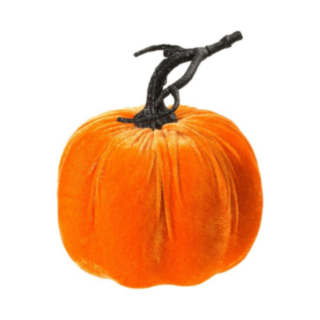 Suuri Oranssi Samettikurpitsa