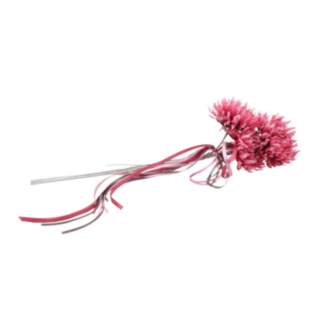 Tekokärhökimppu Fuksia