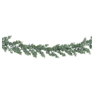 Tekoeukalyptus Köynnös Vihreä
