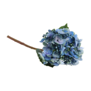 Tekokukan Oksa Hortensia Silmuilla Sininen