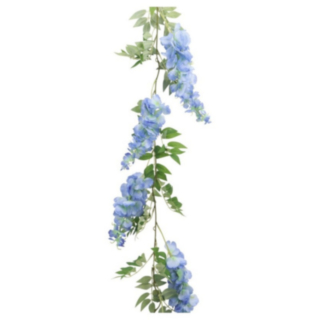 Tekokukkaköynnös Visteria Sininen