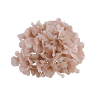 Tekokukka Hortensia Puuterinvärinen