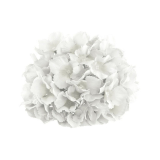 Tekokukka Hortensia Valkoinen