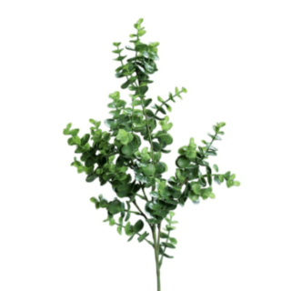 Eucalyptuksen Oksa Keinotekoinen
