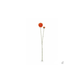 Tekokukka oranssi