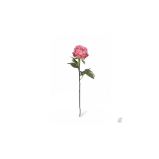Tekokukka pinkki