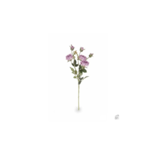 Tekoruusunoksa violetti