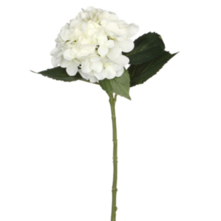 Tekokukka Hortensia Valkoinen