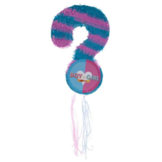 Gender Reveal Piñata