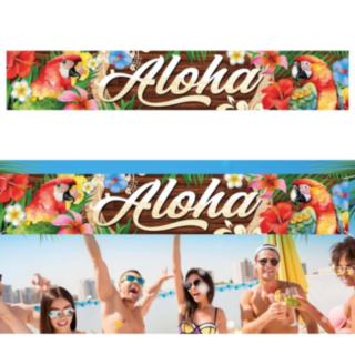Aloha Havaiji Kyltti