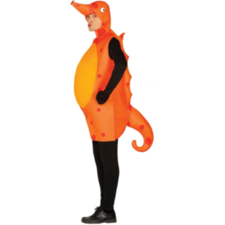 Merihevosasu Oranssi